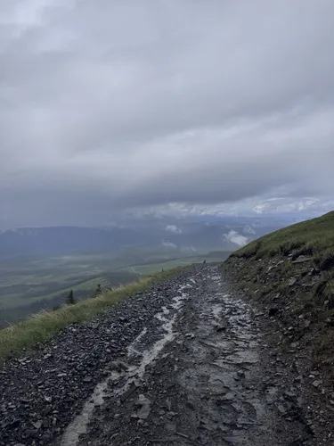 Shunda Mountain - hikes and trails to get you there | AllTrails