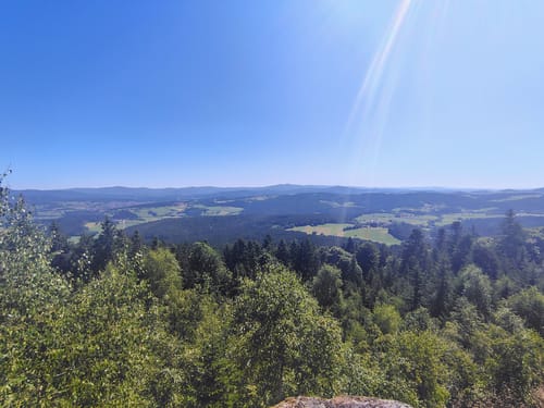 Rund um den Geißkopf 
