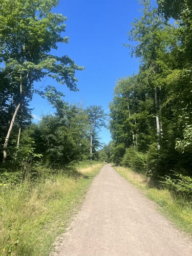 Wandern im Harrl H 1