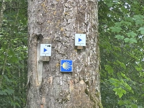 Menningen - Kalkofen - Seelfingen