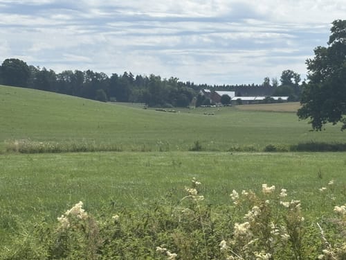 Menningen - Kalkofen - Seelfingen