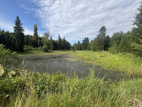 Menningen - Kalkofen - Seelfingen