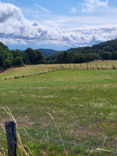 Panoramaweg Bergstein