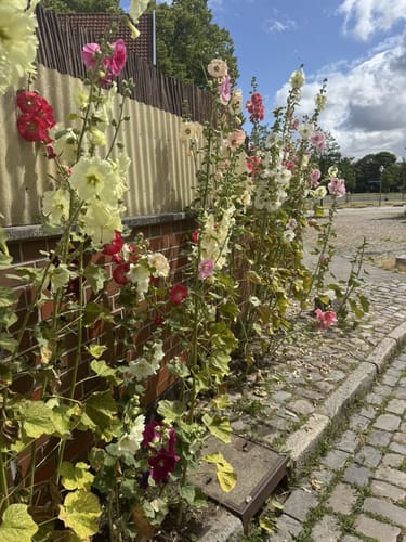 Warnemünde Rundwanderung