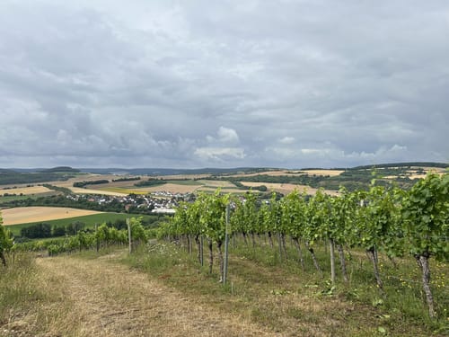 Wanderweg Nr. 24 Eußenheim: Frühmesserweg