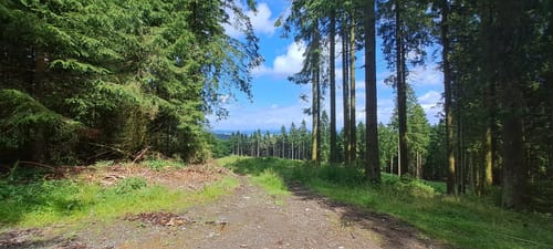 Küstelberg - Hillekopfhütte - Toter Mann