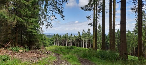 Küstelberg - Hillekopfhütte - Toter Mann