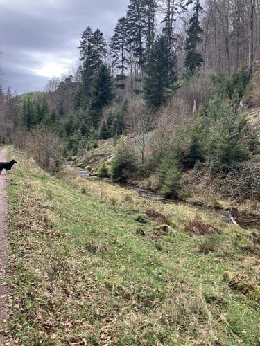 Am Schwarzbach: Ritterstein - Ramschel-Weiher