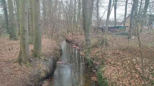 Halle: A11 Paterpatt