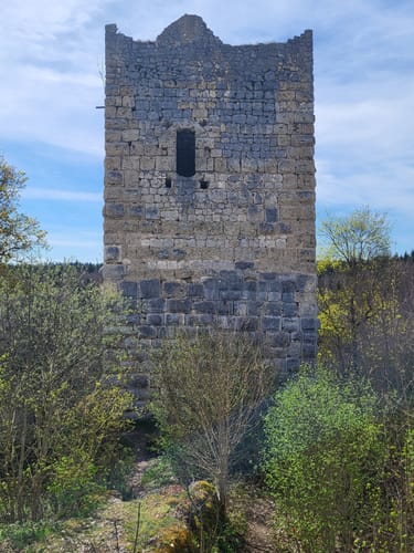 Donaufelsen-Tour (DonauWelle)