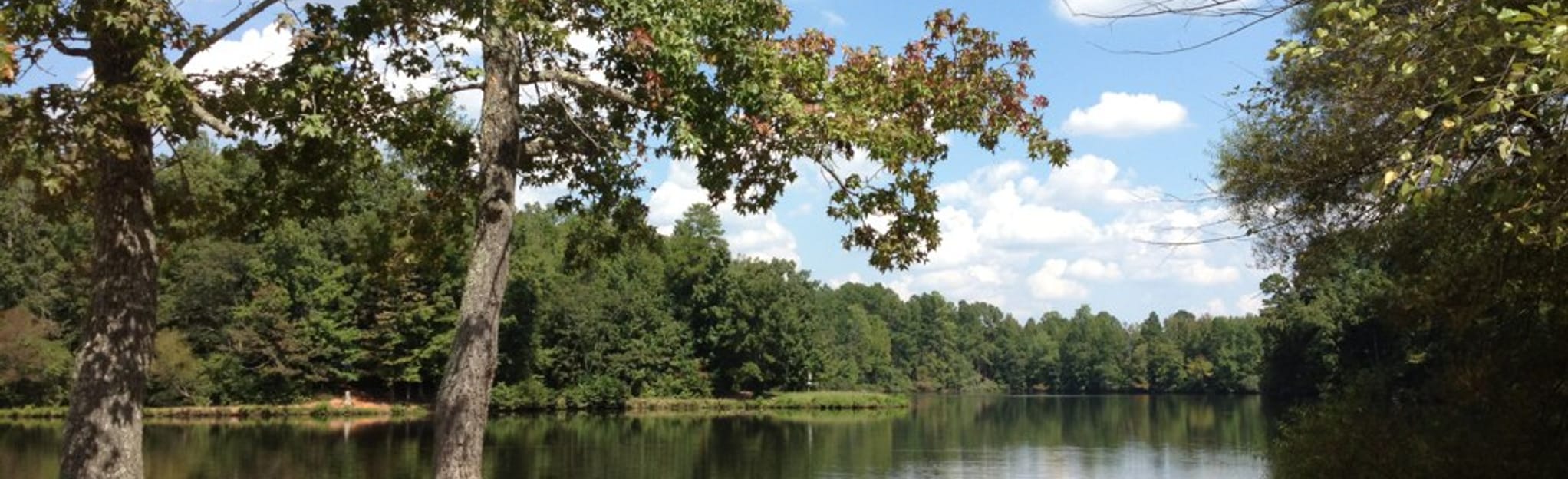 Lake Haigler Loop, South Carolina 451 Reviews, Map AllTrails