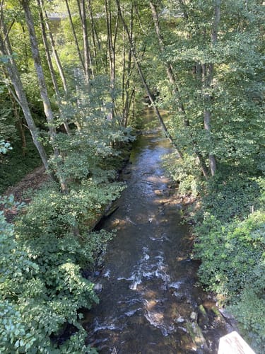 Von Höfchen nach Waldrach entlang der Ruwer