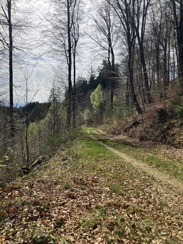 Am Schwarzbach: Ritterstein - Ramschel-Weiher