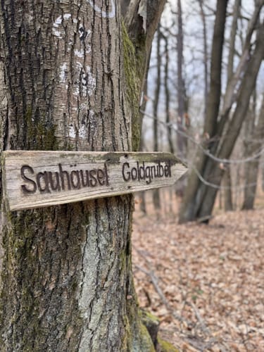Gleiszellen: Sauhausbrunnen-Weg