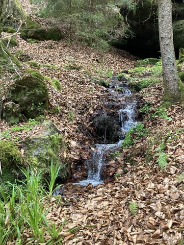 Am Schwarzbach: Ritterstein - Ramschel-Weiher