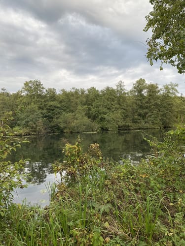 Naturschutzgebiet Wakenitz - Herrnburg