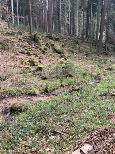 Am Schwarzbach: Ritterstein - Ramschel-Weiher