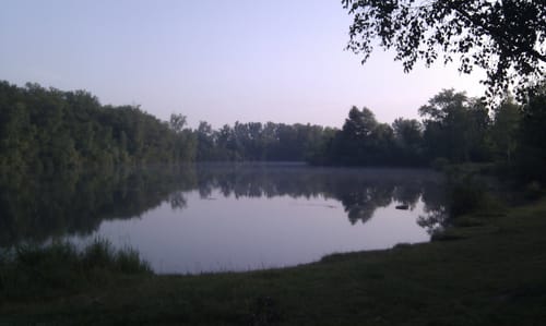 Durch den Rheinwald zur Passerelle de Deux Rives