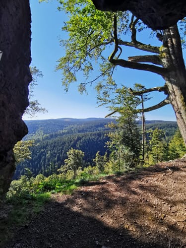 Talsperre Lütsche - Ausgebrannter Stein - Oberhof