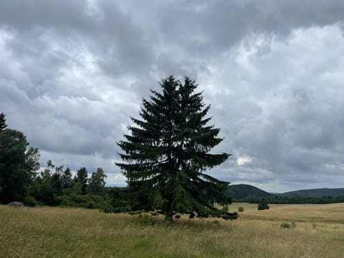 Rundweg Nr. 5: Großer Hermannsberg