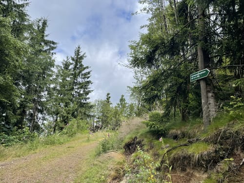 Rundweg Nr. 5: Großer Hermannsberg