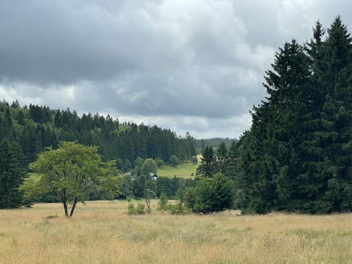 Rundweg Nr. 5: Großer Hermannsberg