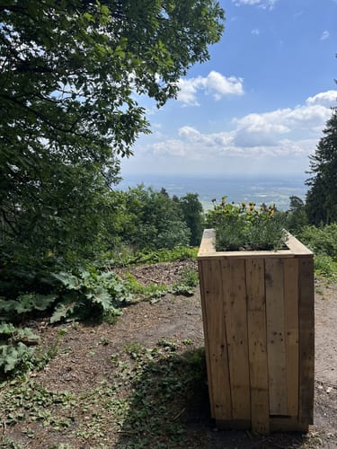 Neustadt / Wstr.- Weinbiet-Ruine Wolfsburg Rundtour