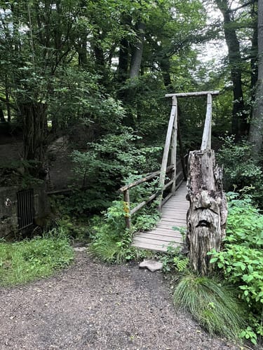 Morgenbachtal Rundweg ab Burg Rheinstein