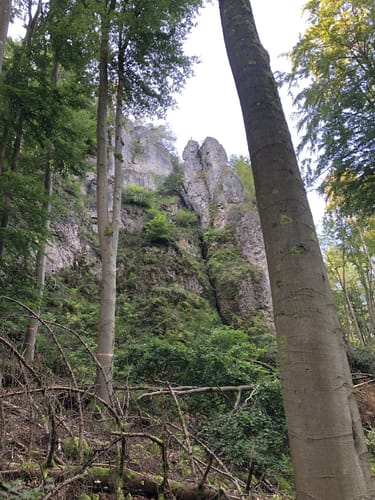 Höhenglück und Norissteig