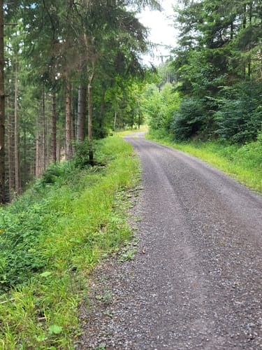 Paul Boesch Weg