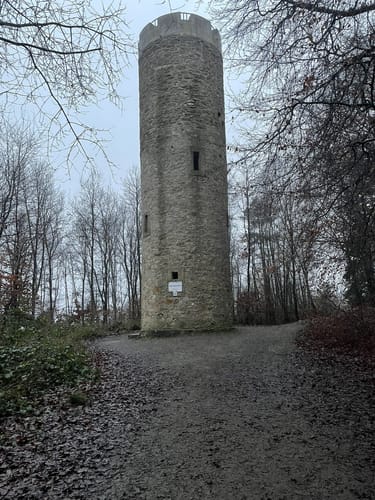 Wittekindsweg Etappe 4: Großer Kellenberg - Nettelstedt