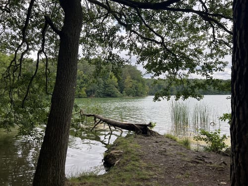 Boltenmühle durchs Binental zum Weilickenberg