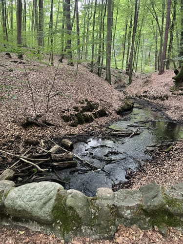 Boltenmühle durchs Binental zum Weilickenberg
