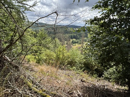 Langenbach Rundweg