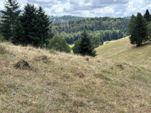 Langenbach Rundweg