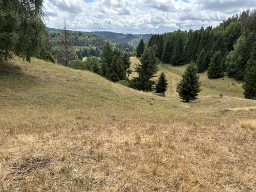 Langenbach Rundweg