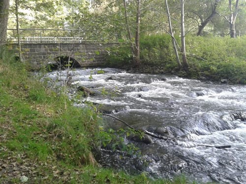 58. Flecken Zechlin MTB Tour