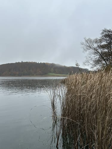 Aus Wrohe an den Westensee
