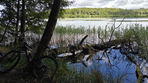 Großer Stechlinsee