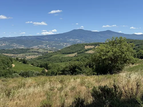Best river trails in Montalcino | AllTrails