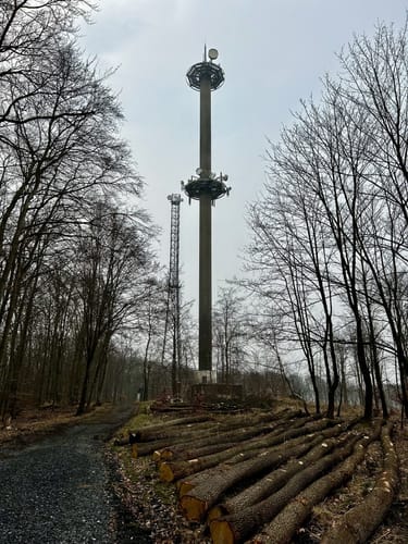 Kleine Runde im Stadtwald Neheim/Lunerwald