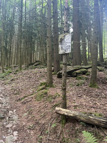 Teufelsmühl-Rundweg