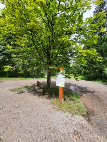 Biberweg (05)