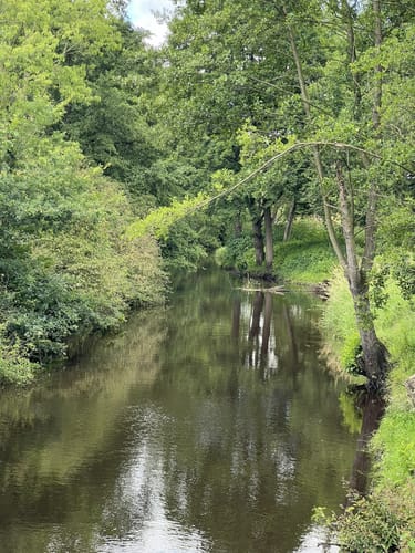 Rund um den Wümme-Nordarm ab Fischerhude
