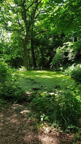 Kelbra - Tilleda Rundweg