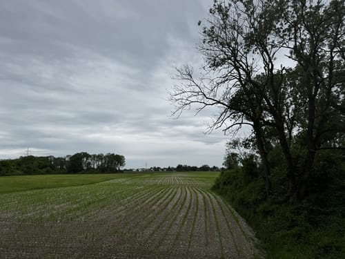 Isarrunde ab Fischerhäuser