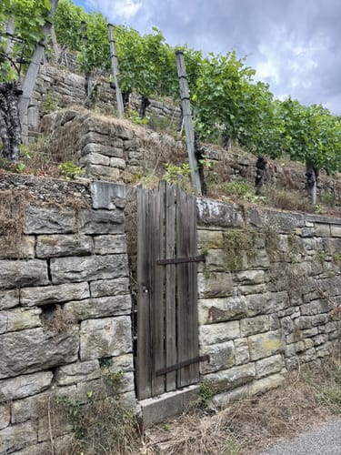 Flößerweg: Von Besigheim nach Bietigheim-Bissingen