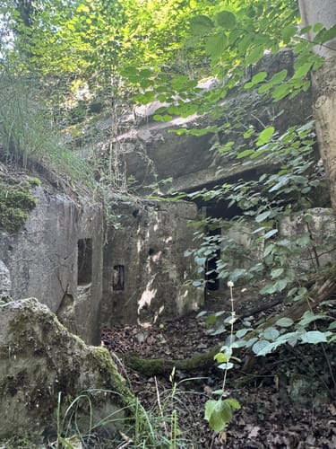Flößerweg: Von Besigheim nach Bietigheim-Bissingen