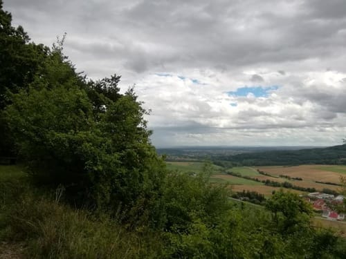 Steinbacher Hof - Hamberg - Großer Fleckenwald