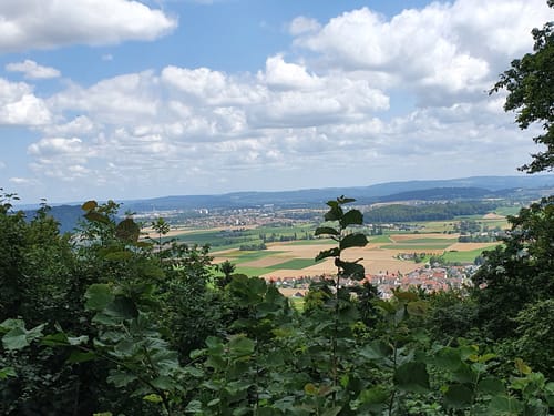 Hegau-Panorama-Weg Etappe 4: Gailingen - Singen